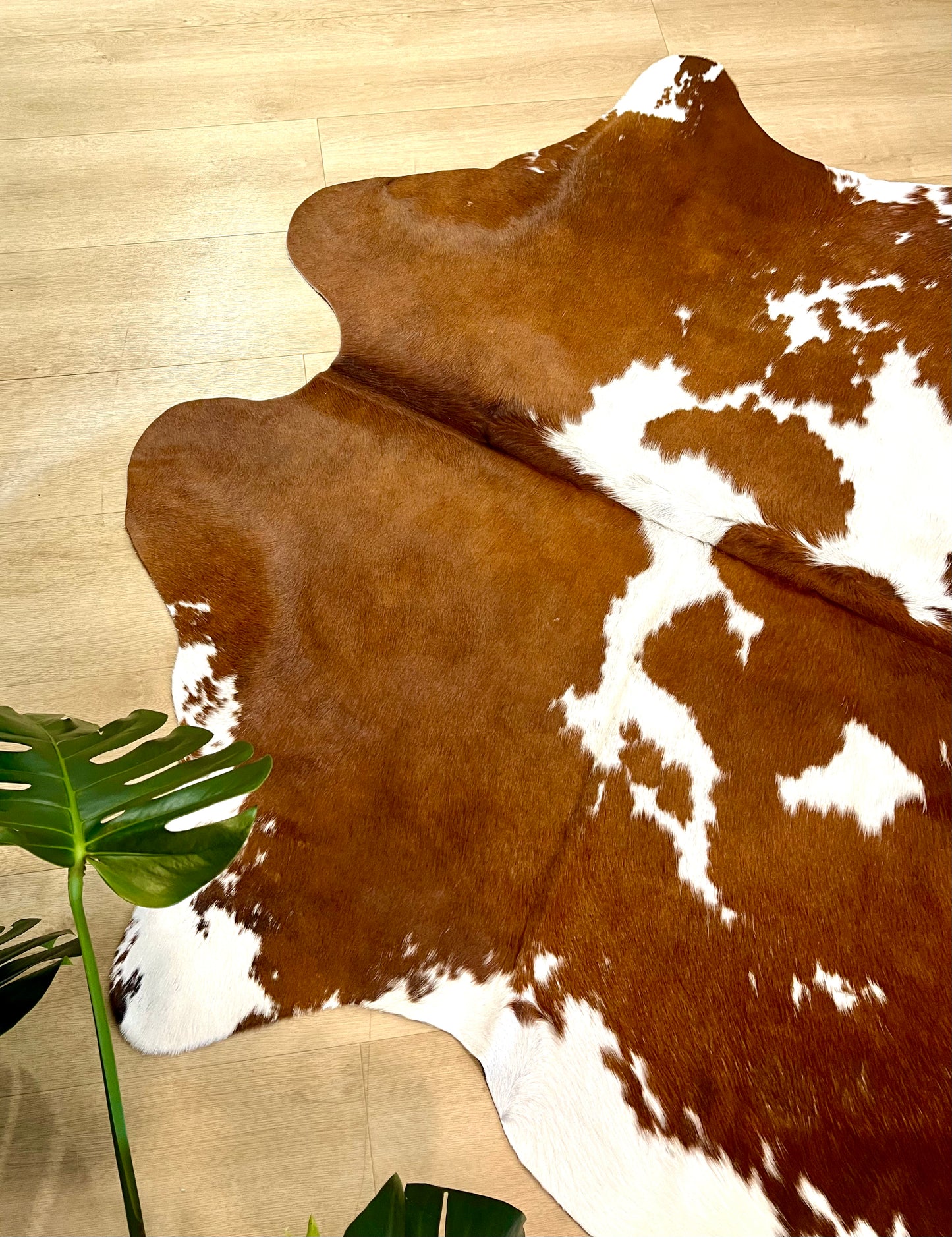 PREMIUM COWHIDE RUG - 0525