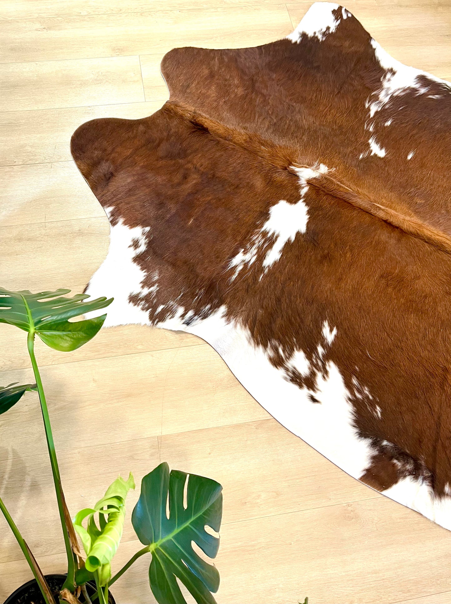 PREMIUM COWHIDE RUG - 0225