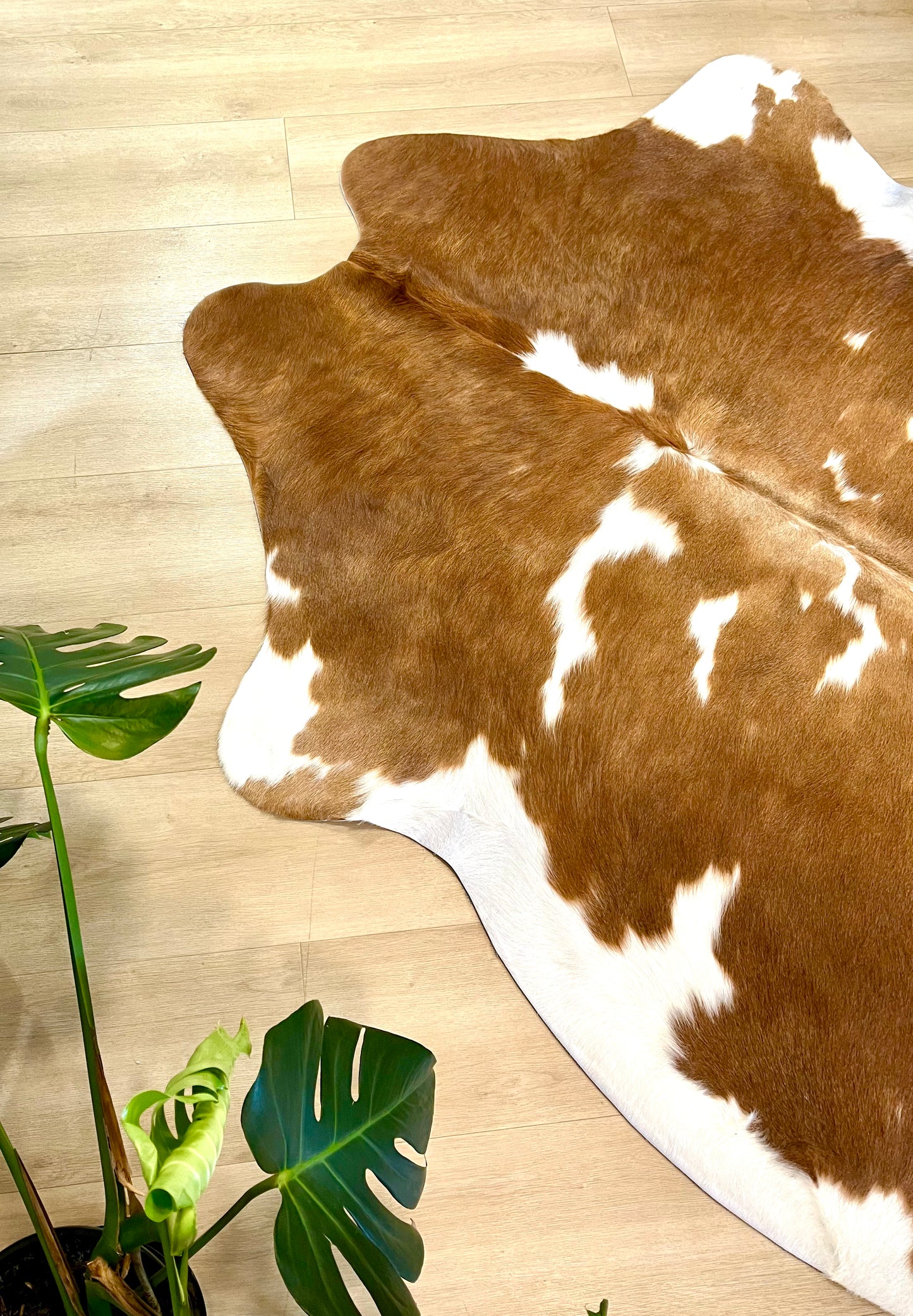 PREMIUM COWHIDE RUG - 0125