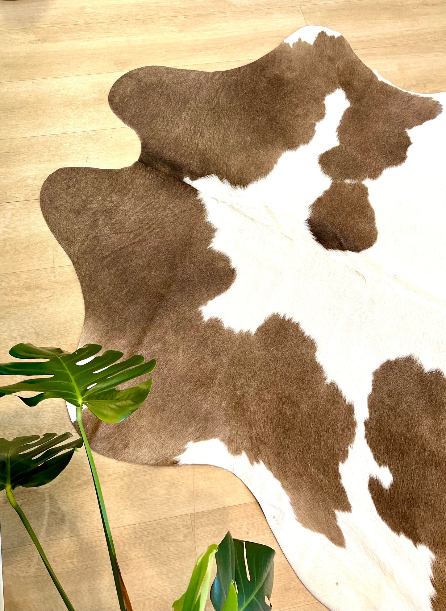 PREMIUM COWHIDE RUG - 1025