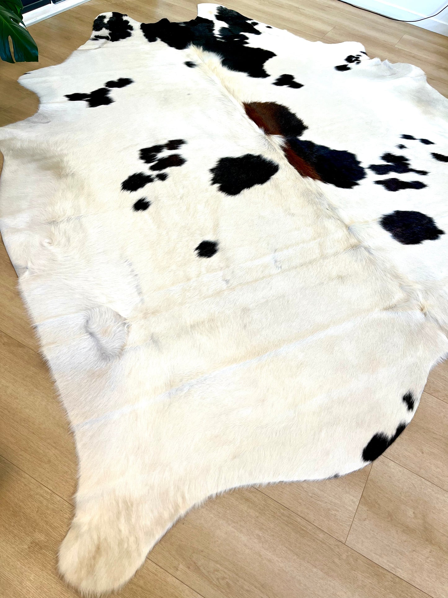 PREMIUM COWHIDE RUG - 1125