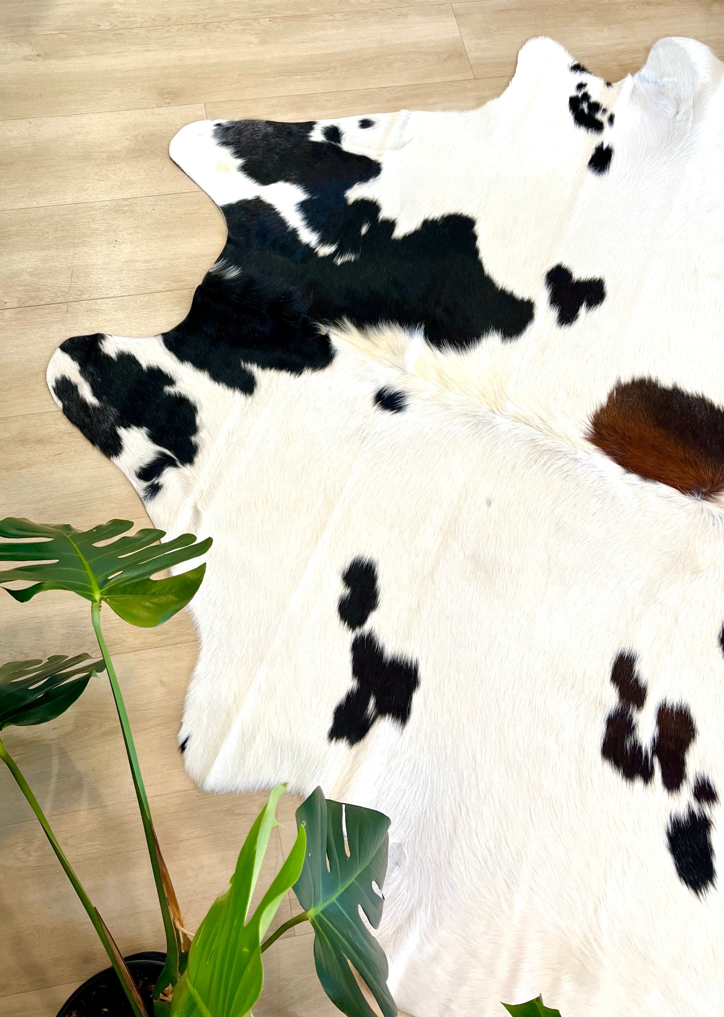 PREMIUM COWHIDE RUG - 1125