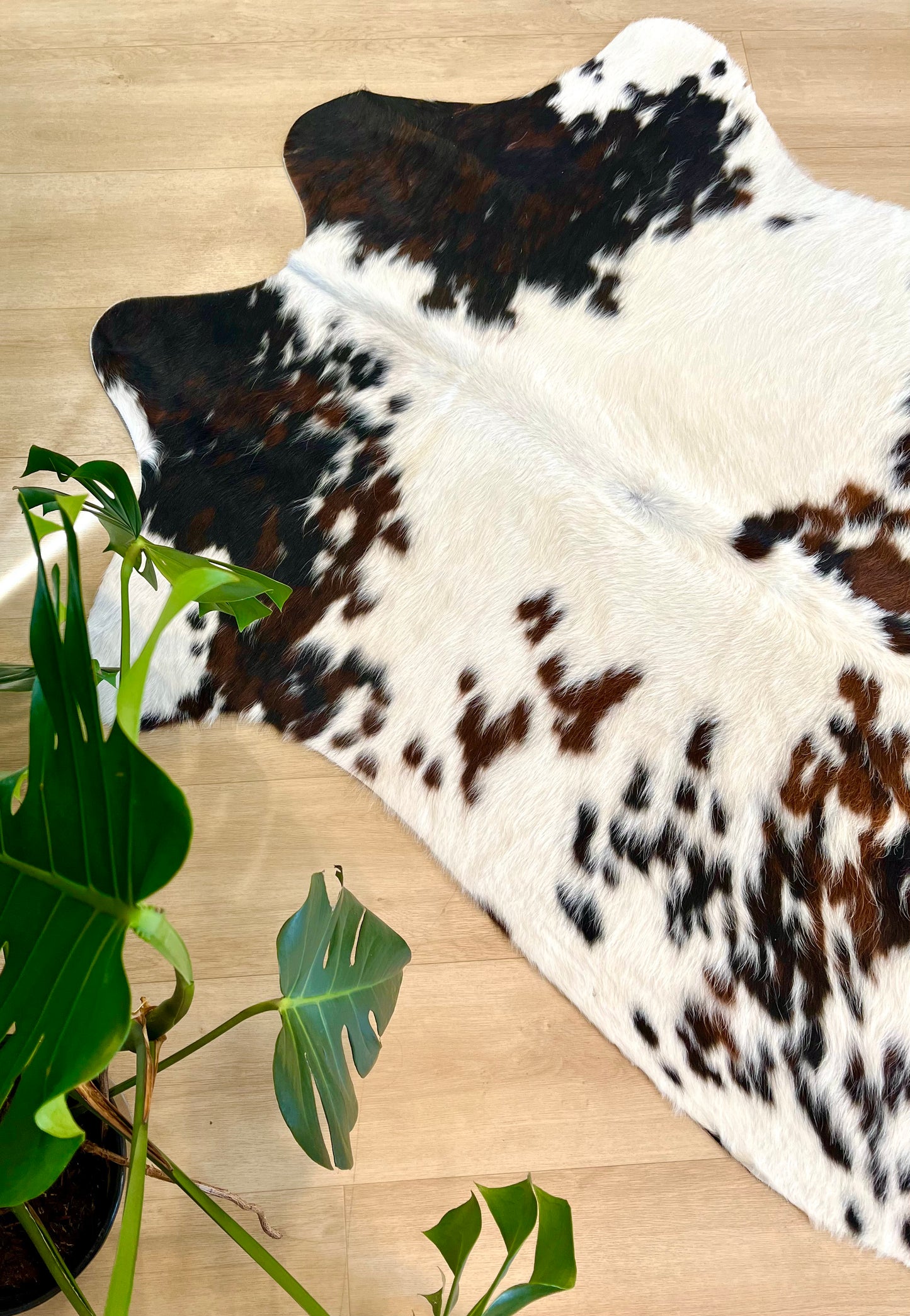 GREAT VALUE COWHIDE RUG -  M1325