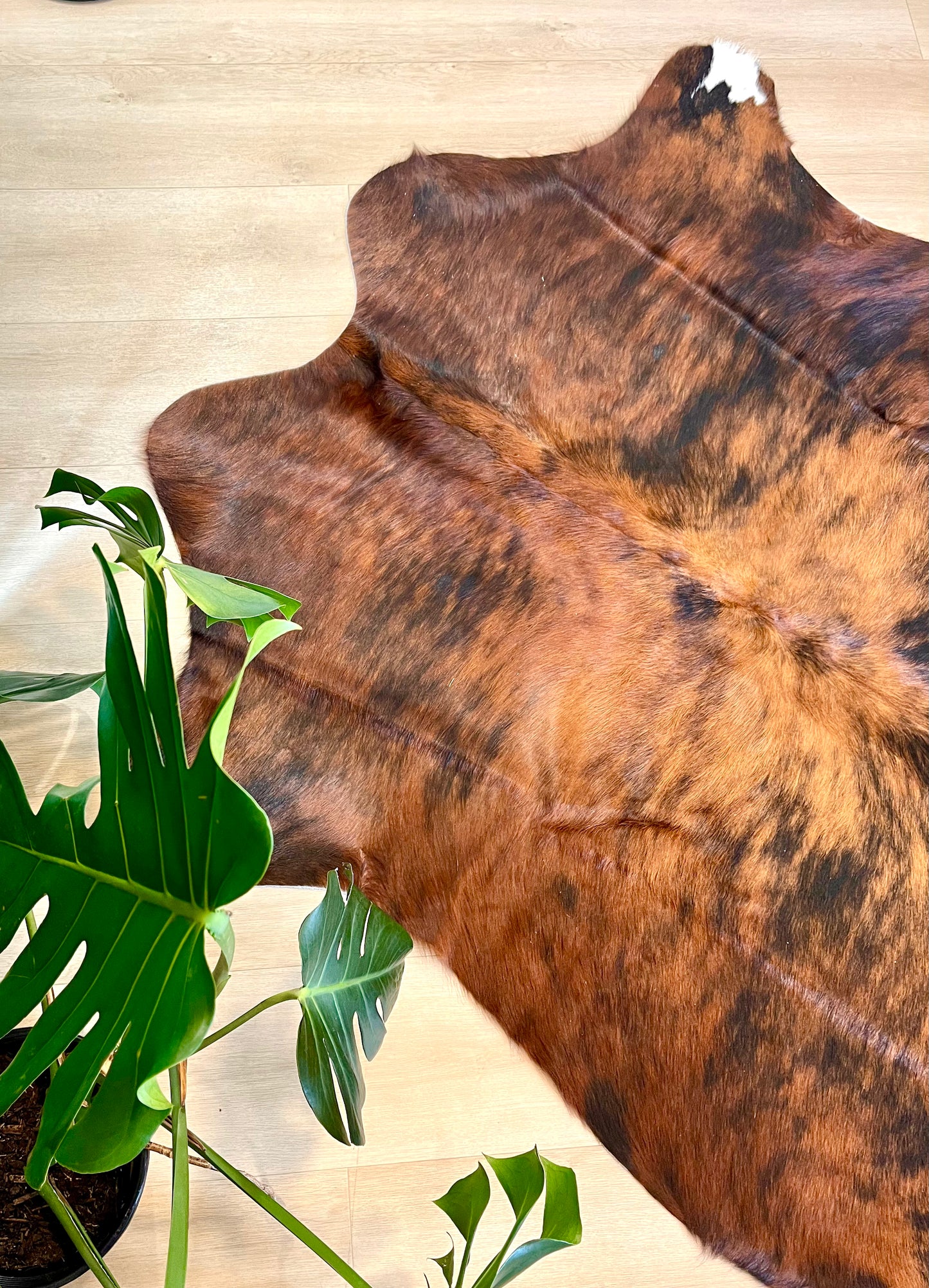 GREAT VALUE COWHIDE RUG -  M1525